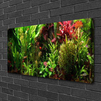 Photo sur toile Plantes nature vert orange