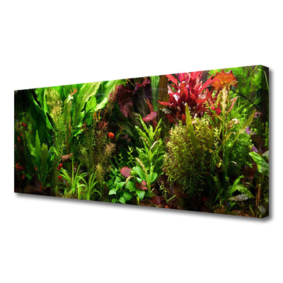 Photo sur toile Plantes nature vert orange