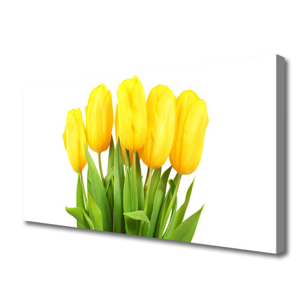 Photo sur toile Tulipes floral jaune