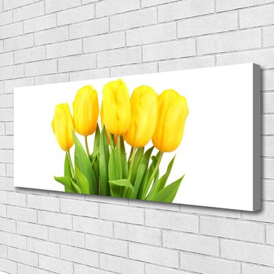 Photo sur toile Tulipes floral jaune