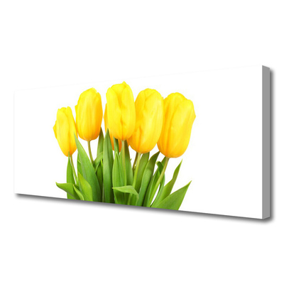 Photo sur toile Tulipes floral jaune