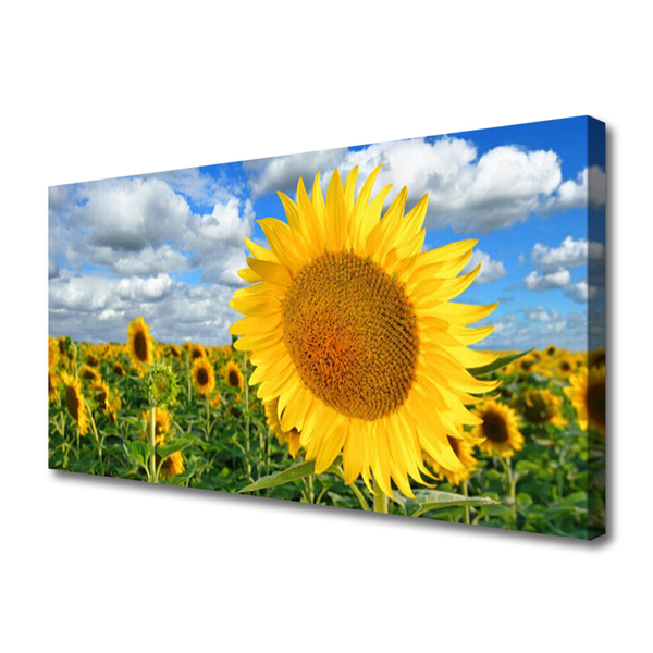 Photo sur toile Tournesol floral jaune brun