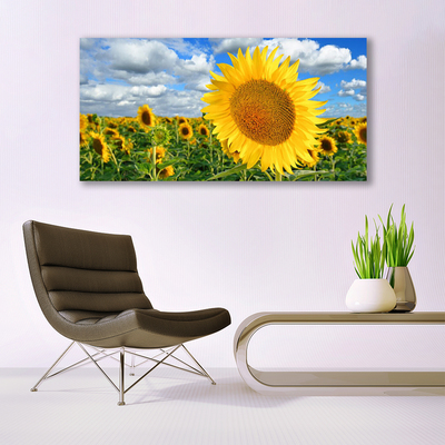 Photo sur toile Tournesol floral jaune brun