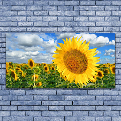 Photo sur toile Tournesol floral jaune brun