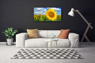 Photo sur toile Tournesol floral jaune brun