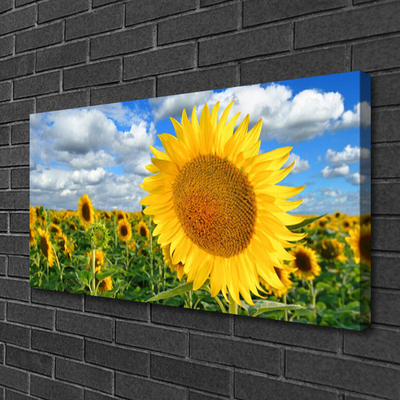 Photo sur toile Tournesol floral jaune brun