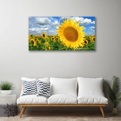 Photo sur toile Tournesol floral jaune brun