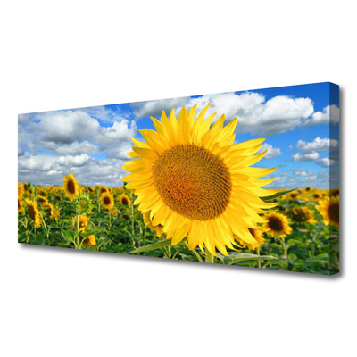 Photo sur toile Tournesol floral jaune brun