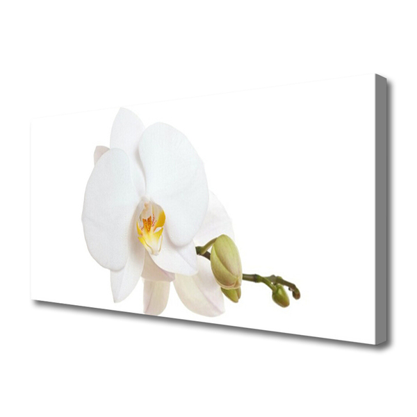 Photo sur toile Fleur floral blanc