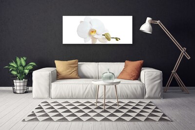 Photo sur toile Fleur floral blanc