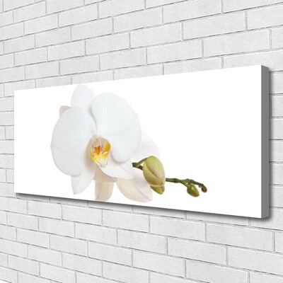 Photo sur toile Fleur floral blanc