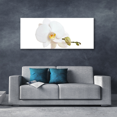 Photo sur toile Fleur floral blanc