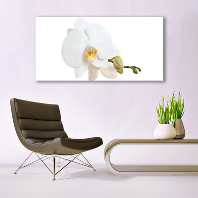 Photo sur toile Fleur floral blanc