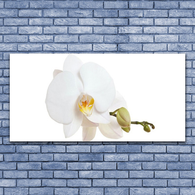 Photo sur toile Fleur floral blanc