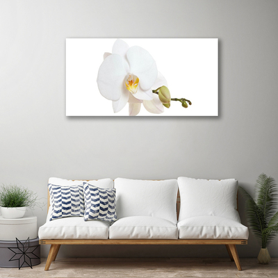 Photo sur toile Fleur floral blanc