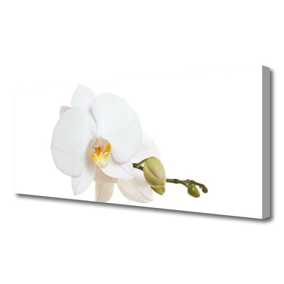 Photo sur toile Fleur floral blanc