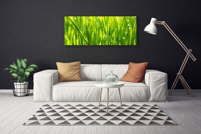 Photo sur toile Herbe nature vert