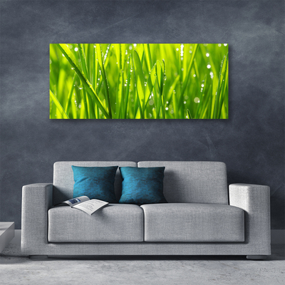 Photo sur toile Herbe nature vert