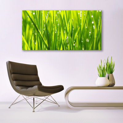 Photo sur toile Herbe nature vert