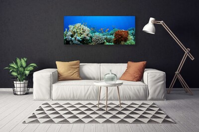 Photo sur toile Récif de corail nature multicolore