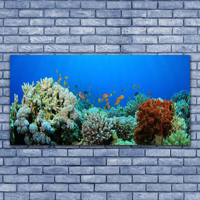 Photo sur toile Récif de corail nature multicolore