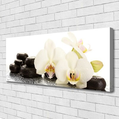 Photo sur toile Pierres fleurs floral blanc noir