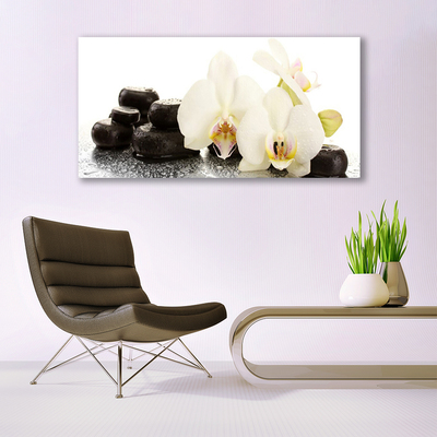 Photo sur toile Pierres fleurs floral blanc noir