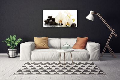 Photo sur toile Pierres fleurs floral blanc noir