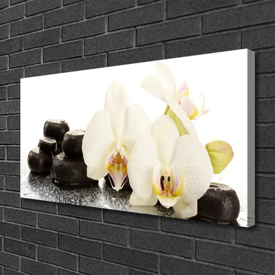 Photo sur toile Pierres fleurs floral blanc noir