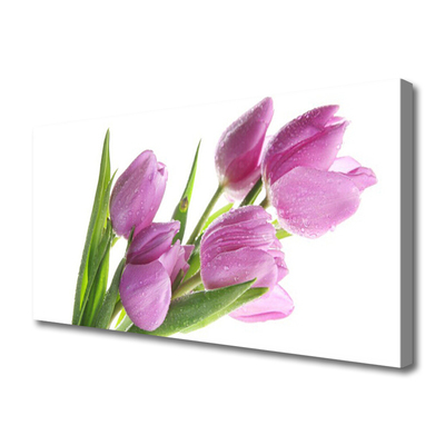 Photo sur toile Tulipes floral rose vert