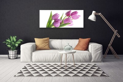 Photo sur toile Tulipes floral rose vert