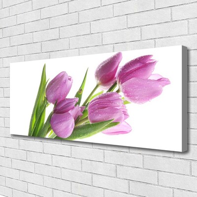 Photo sur toile Tulipes floral rose vert