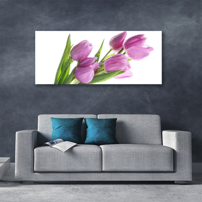 Photo sur toile Tulipes floral rose vert