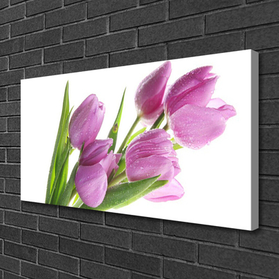 Photo sur toile Tulipes floral rose vert