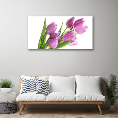 Photo sur toile Tulipes floral rose vert