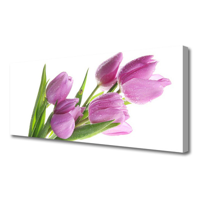 Photo sur toile Tulipes floral rose vert