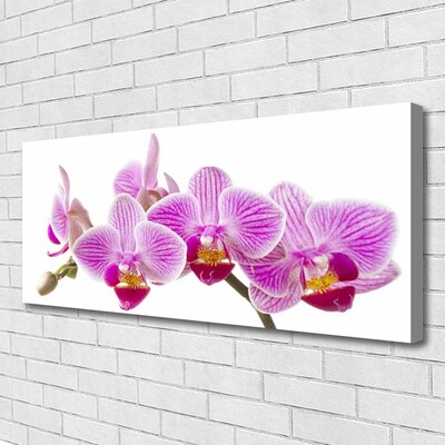 Photo sur toile Fleurs floral rose