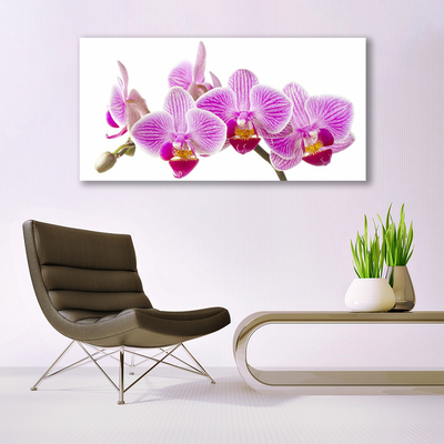 Photo sur toile Fleurs floral rose