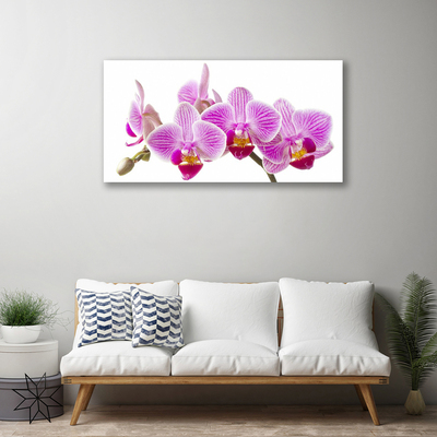 Photo sur toile Fleurs floral rose