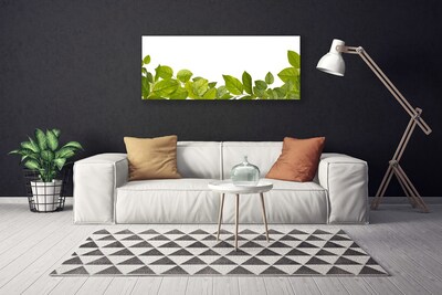 Photo sur toile Feuilles floral vert