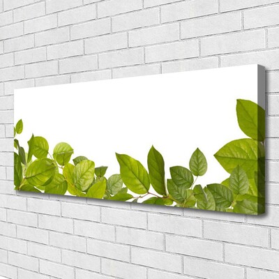 Photo sur toile Feuilles floral vert