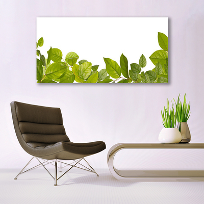 Photo sur toile Feuilles floral vert