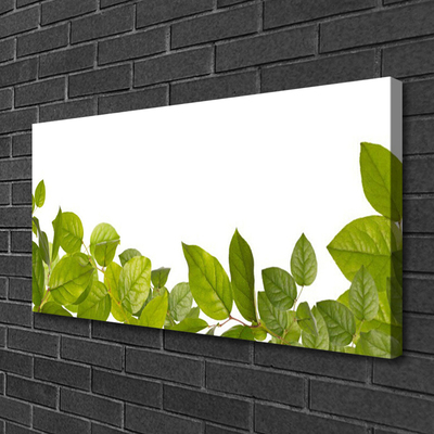 Photo sur toile Feuilles floral vert