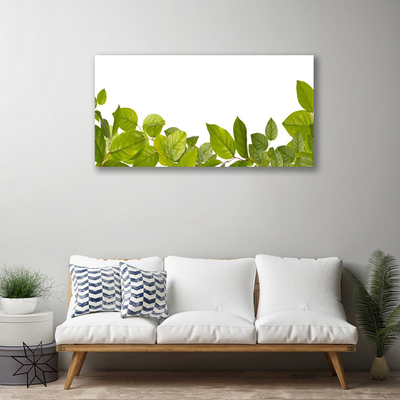 Photo sur toile Feuilles floral vert