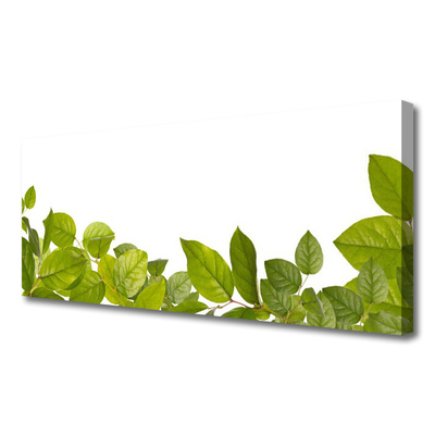 Photo sur toile Feuilles floral vert