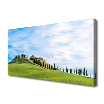 Photo sur toile Arbres prairie paysage vert