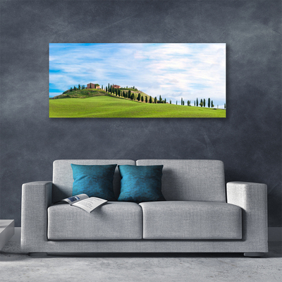 Photo sur toile Arbres prairie paysage vert