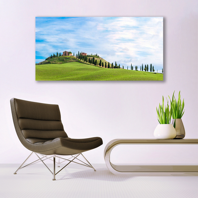 Photo sur toile Arbres prairie paysage vert