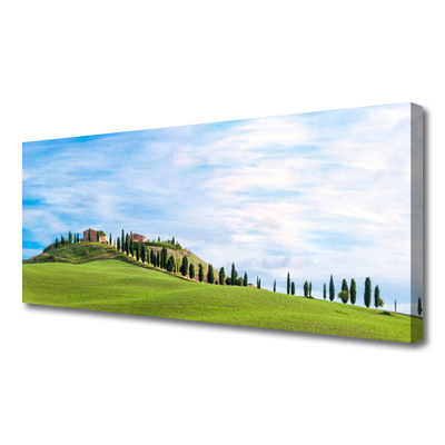 Photo sur toile Arbres prairie paysage vert