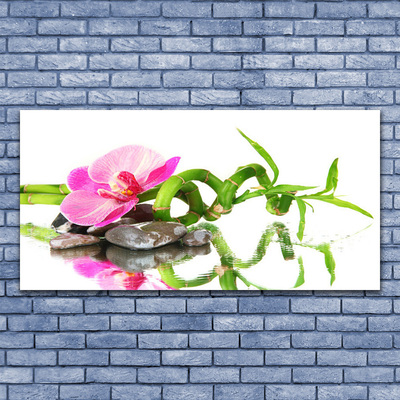 Photo sur toile Bambou fleurs pierres art vert rose gris